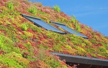 Baleromindubh Glac Mhor living roof systems